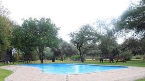 A swimming pool with a stone deck, surrounded by grass and trees. - Grootgeluk Bush Camp (Mookgopong)