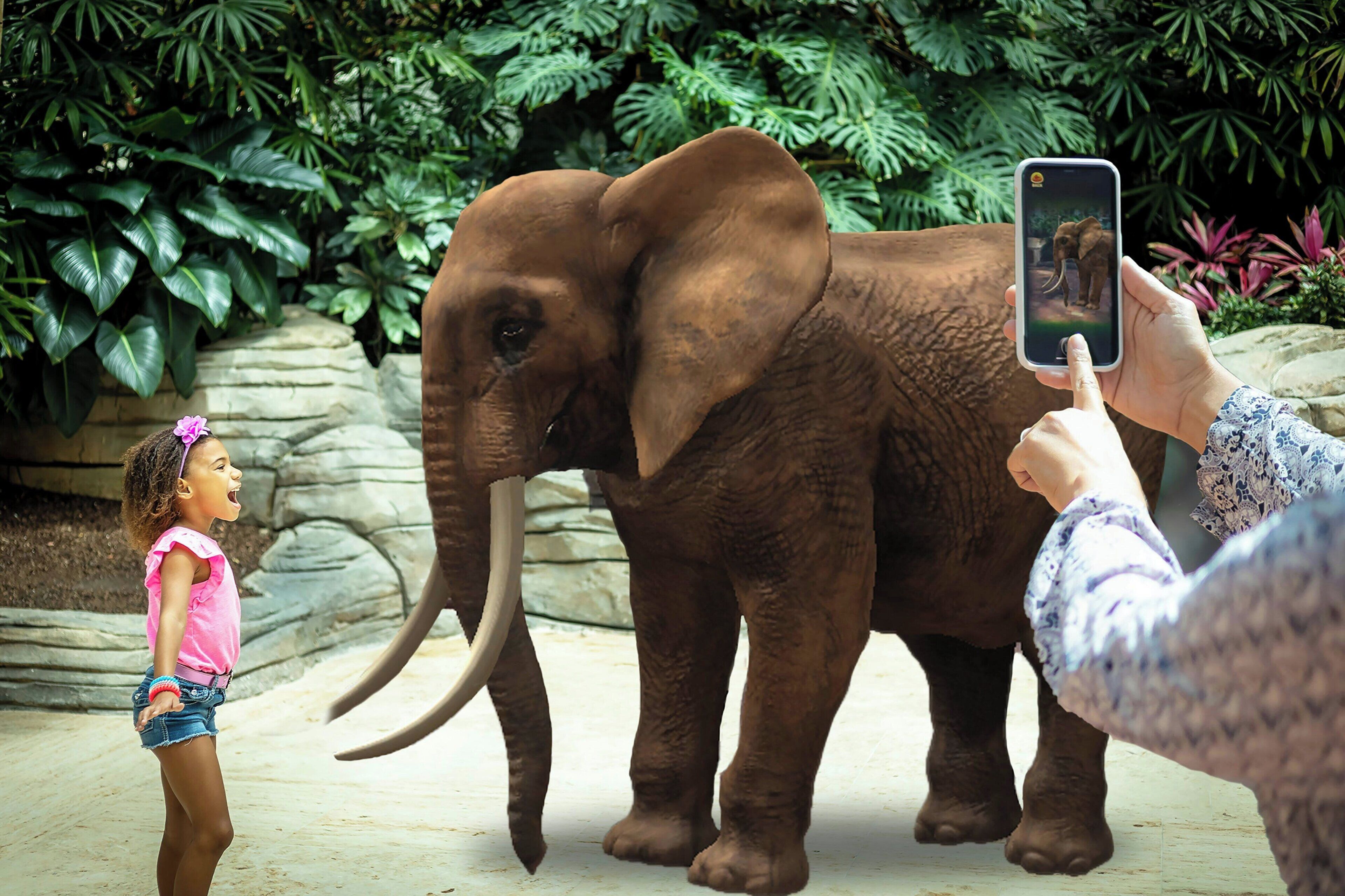 A person taking a photo of an elephant with a smartphone.
