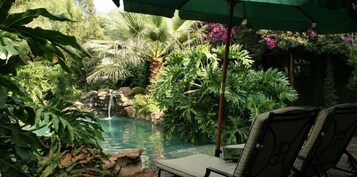 Piscina externa