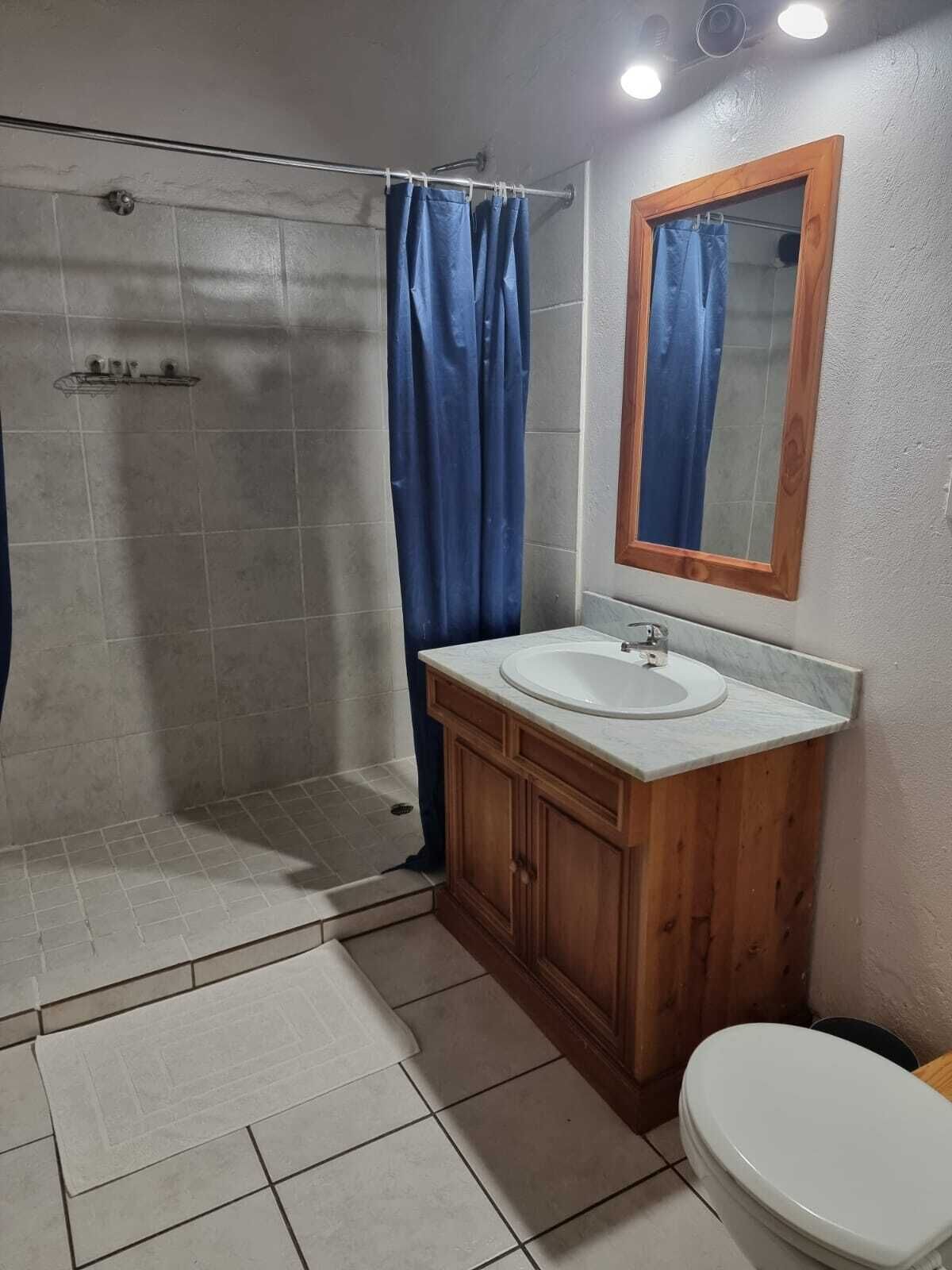 Une salle de bain avec une douche, un lavabo et des toilettes.
