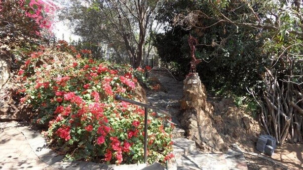 Jardín