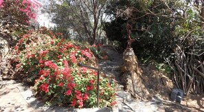 Garden - Sunny Place (Germiston)