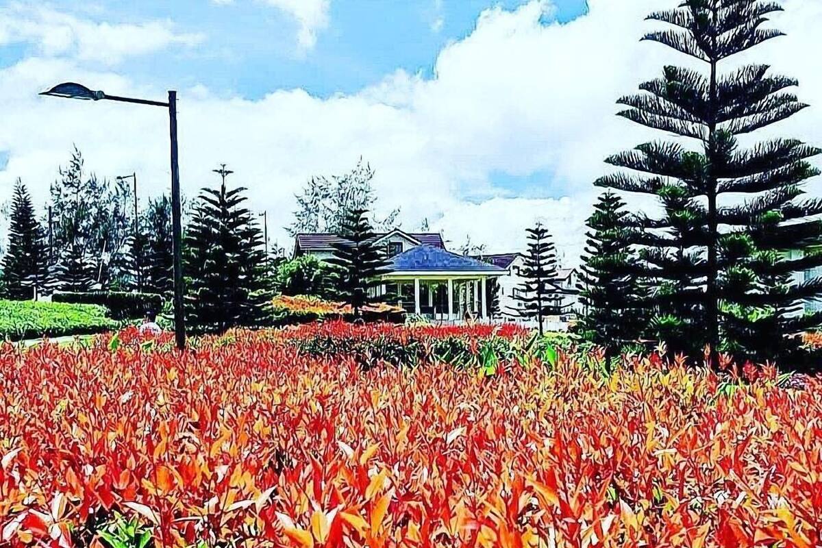 A field of autumn leaves in front of a building with a blue roof and a white fence.