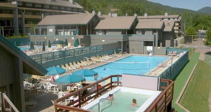 Mountain Retreat Located Seconds from Loon Mt, Lincoln and White Mtns