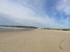 Playa en los alrededores y camastros
