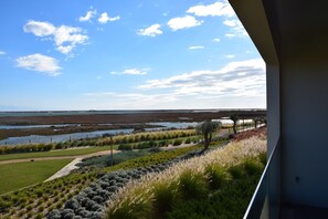 المنطقة المحيطة بالمنشأة