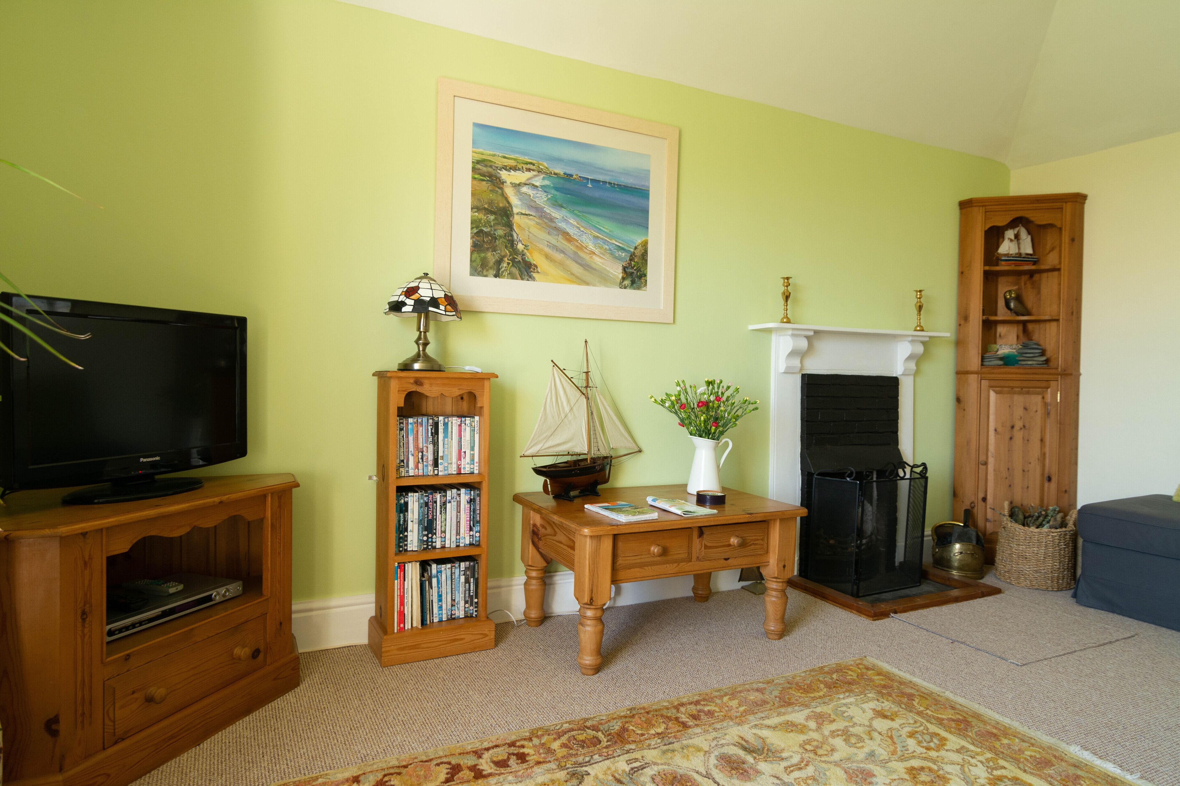 TV, DVD player, books, video library