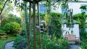 A garden with a wooden bench, a pergola, and a pathway leading to a white building.