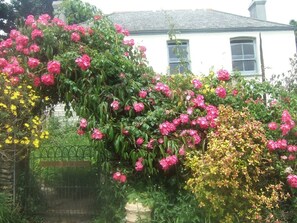 Stroll through the serene garden, surrounded by vibrant flowers and a charming building with a symmetrical facade.