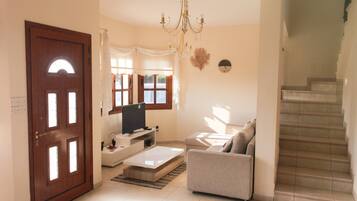 TV, DVD player, ping pong, books