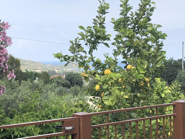 Áreas de la propiedad