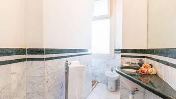 Shower, hair dryer, towels, shampoo