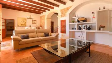 Télévision, cheminée, lecteur de DVD, chaîne hi-fi