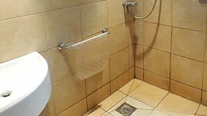 Hair dryer, towels, toilet paper