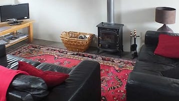 Una Smart TV, una chimenea, un reproductor de DVD, libros