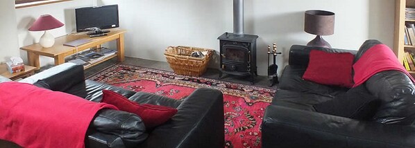 A living room with a black leather sofa, a red throw blanket, a television on a wooden table, a fireplace, and a bookshelf. - Grooms Cottage- Sleeps 4 in 2 bedrooms plus 2 to 4 dogs depending on size. (Bodmin)
