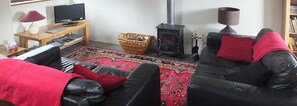 Smart TV, chimenea, reproductor de DVD y libros