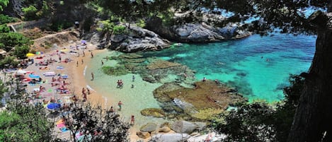 Una playa cerca