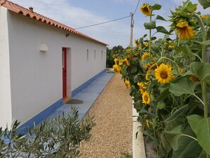 Exterior detail - "Casa da Charca" - SW Alentejano (Odemira)