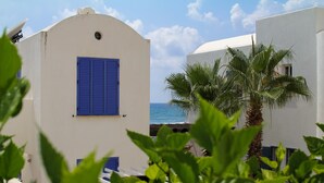 A coastal building with blue shutters and a palm tree in the foreground. - NEW! Luxury 8 bed villa with magnificent roof terrace, 100m from the sea. (Chloraka)
