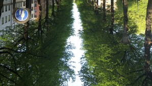Ein von Bäumen und Straßenlaternen gesäumter Weg, der zu einem Gebäude in der Ferne führt.
