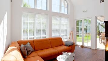 Fernseher, Kamin, DVD-Player, BĂŒcher