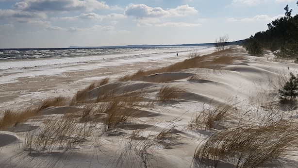 Een strand met duinen en een heldere lucht.