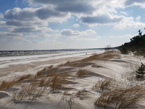 En strand med sanddyner och en klar himmel.