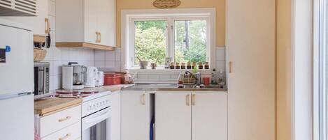 Fridge, stovetop