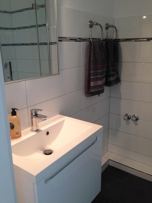 Shower, hair dryer, soap, toilet paper