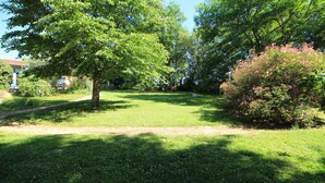 A well-maintained garden with a variety of trees and flowering bushes.