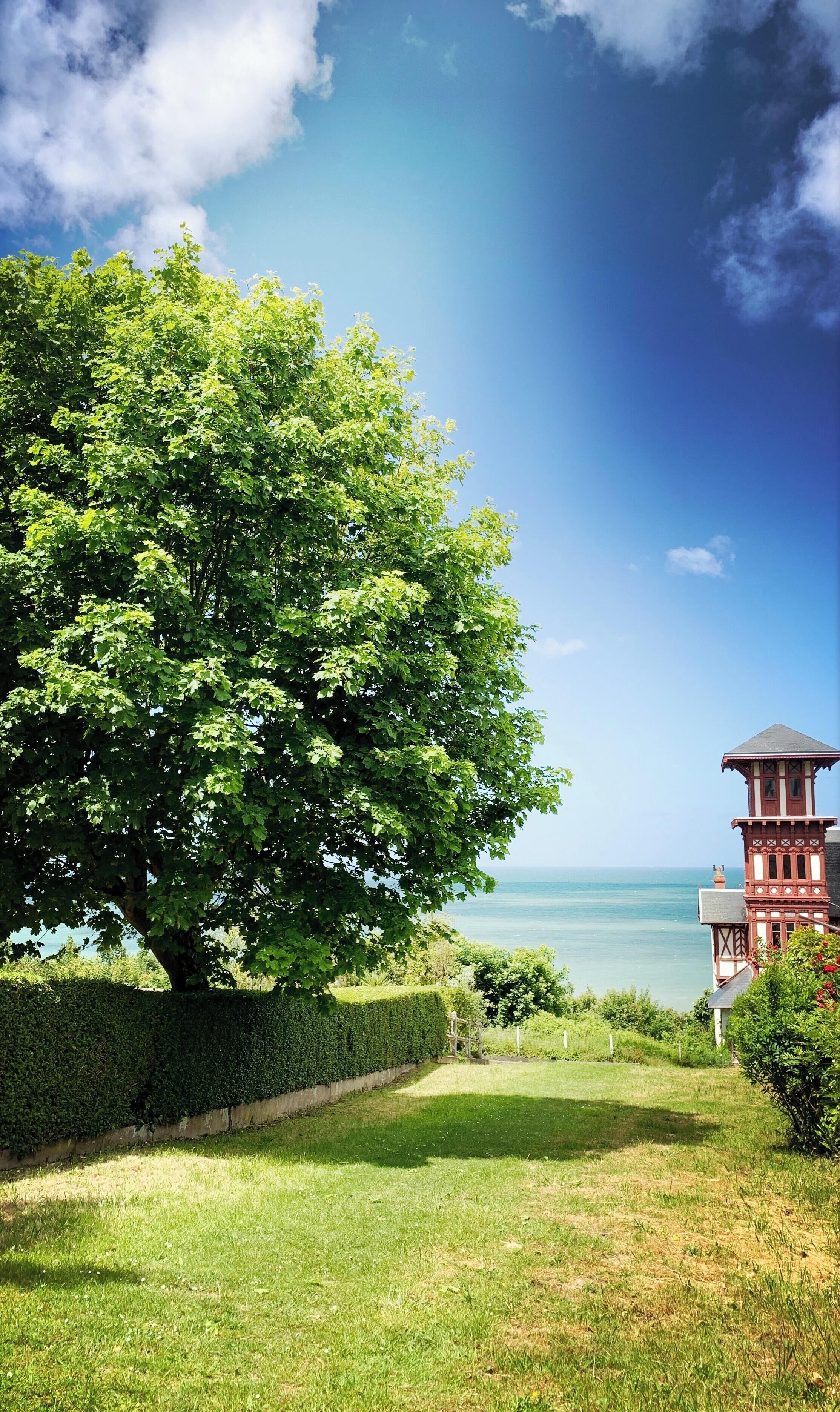 Terrain de l’hébergement 