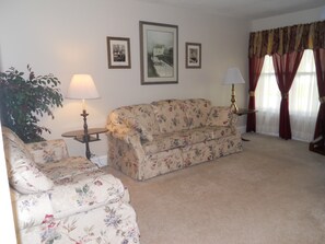 Smart TV, DVD player, books, video library