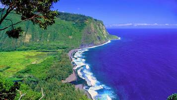 Sun loungers, beach towels