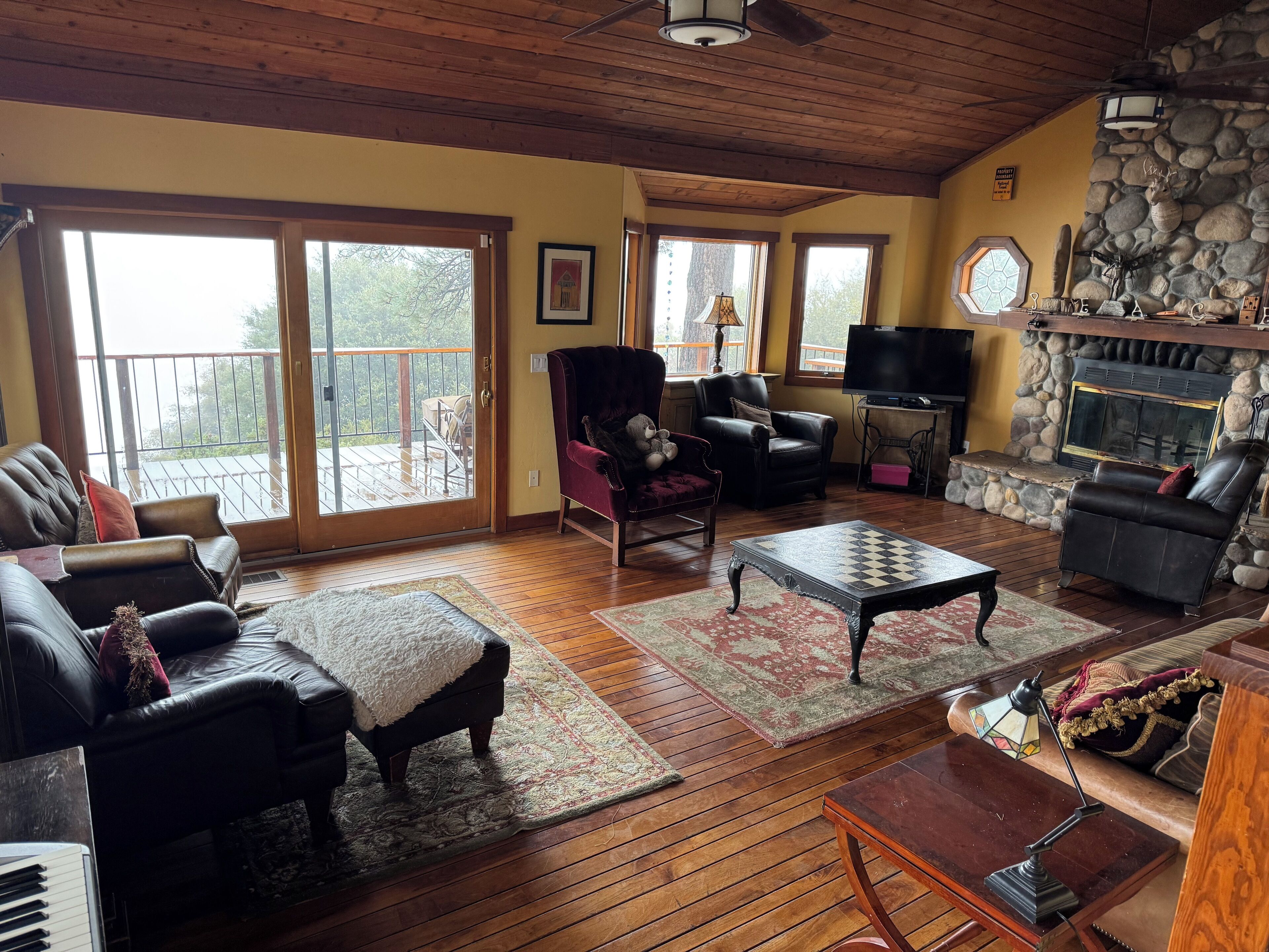 Smart TV, fireplace, DVD player, table tennis