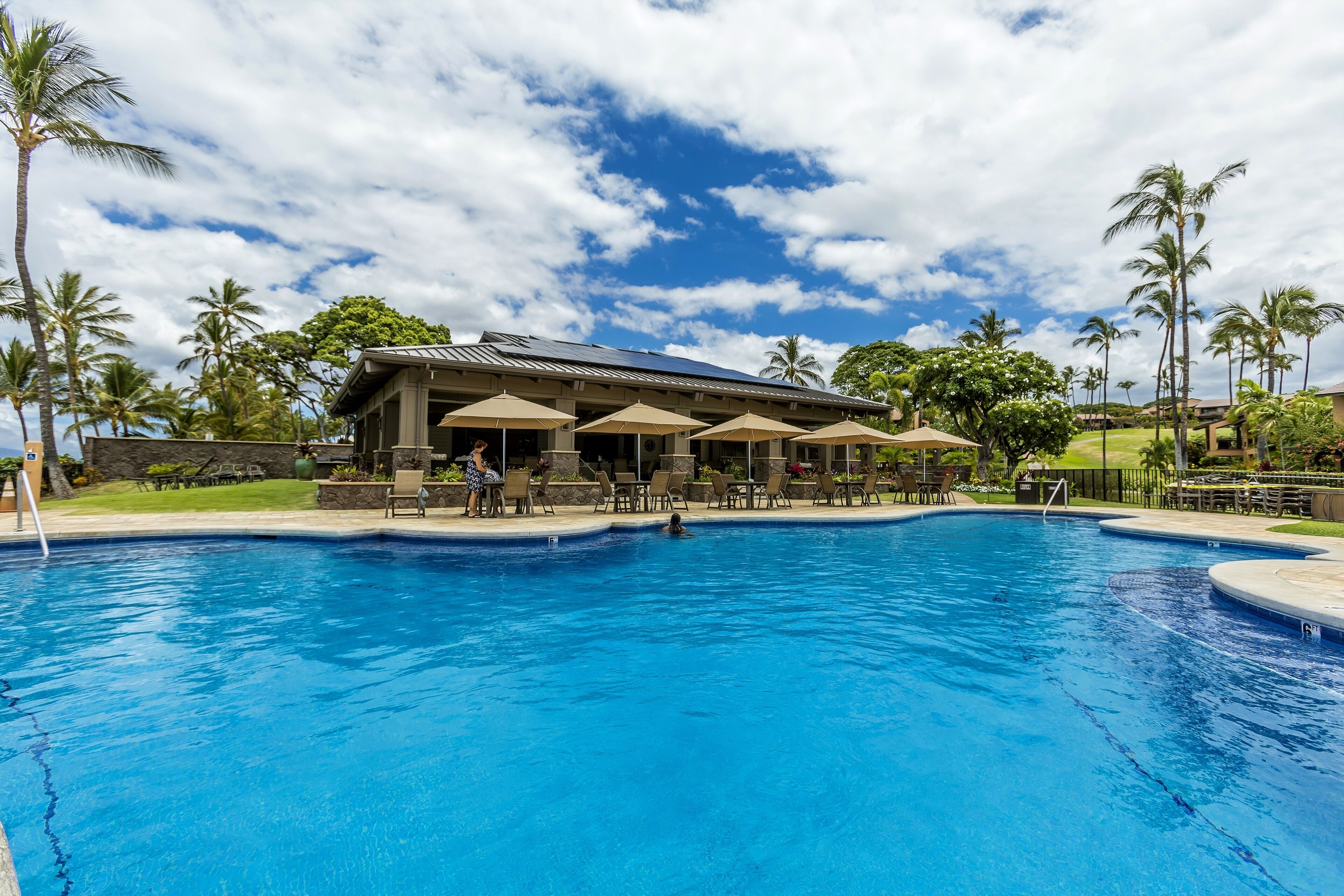 Piscina con sillas de descanso y sombrillas, rodeada de palmeras y un edificio con techo inclinado.