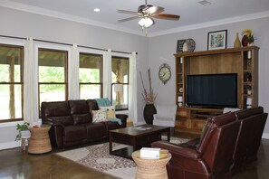 Una Smart TV, una chimenea, un reproductor de DVD, libros