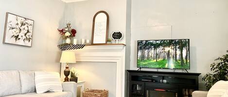 Smart TV, chimenea, reproductor de DVD y libros