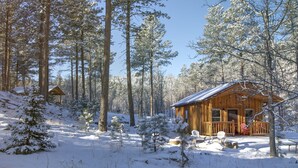 A wooden cabin surrounded by snow-covered trees in a forest.