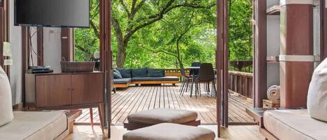 TV, fireplace, DVD player