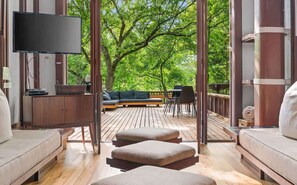 TV, fireplace, DVD player, offices - Fay Jones Historical A-Frame Luxury Design (Heber Springs)