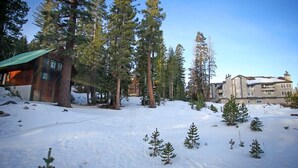 A snow-covered landscape with a cabin and a large building, surrounded by tall pine trees.