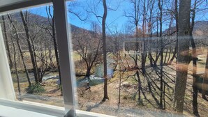 A view through a window of a forested area with a stream, trees, and a clear sky.