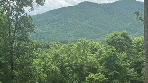 Un sendero de grava serpentea por un bosque con una montaña en el fondo.