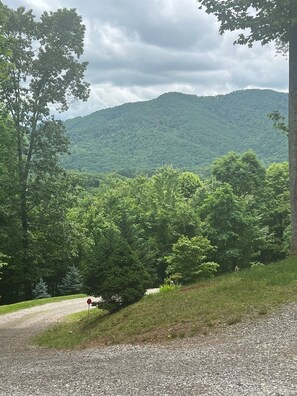 Property grounds - Sparkling clean, peaceful mountain cottage with fabulous views. Min.to Asheville (Asheville-Candler)