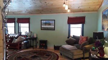 Télévision, cheminée, livres, chaßne hi-fi