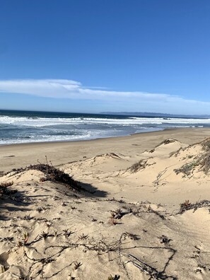 Una playa con dunas de arena y vegetación escasa.