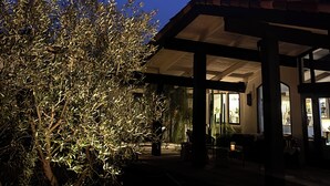 Un edificio con un patio techado, un árbol y un cielo nocturno despejado con una estela visible.