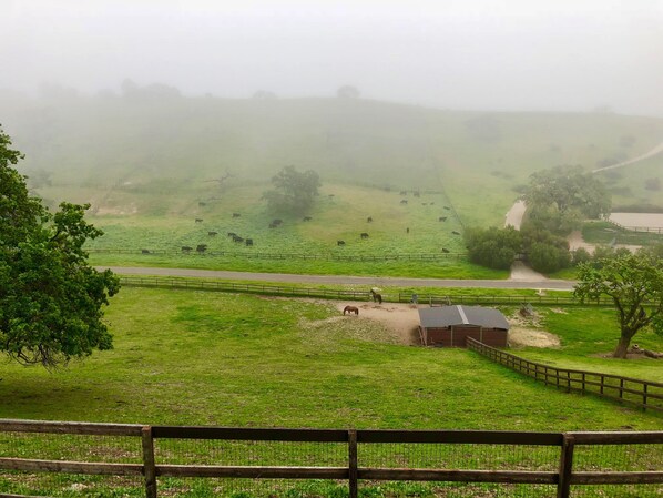 Paisaje rural con un cercado, un sendero de tierra y un pequeño edificio.