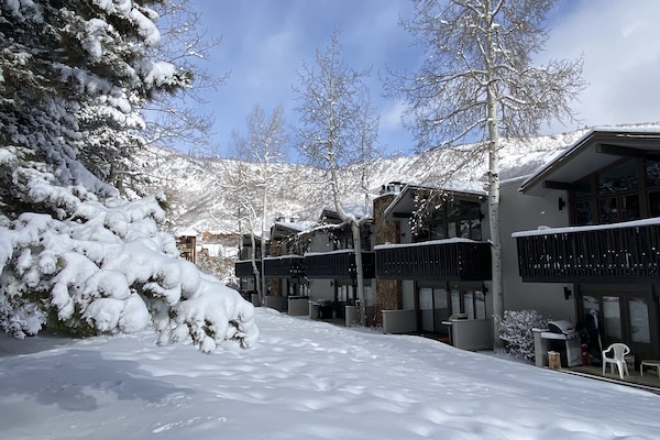 Quiet Snowy Winter Wonderland